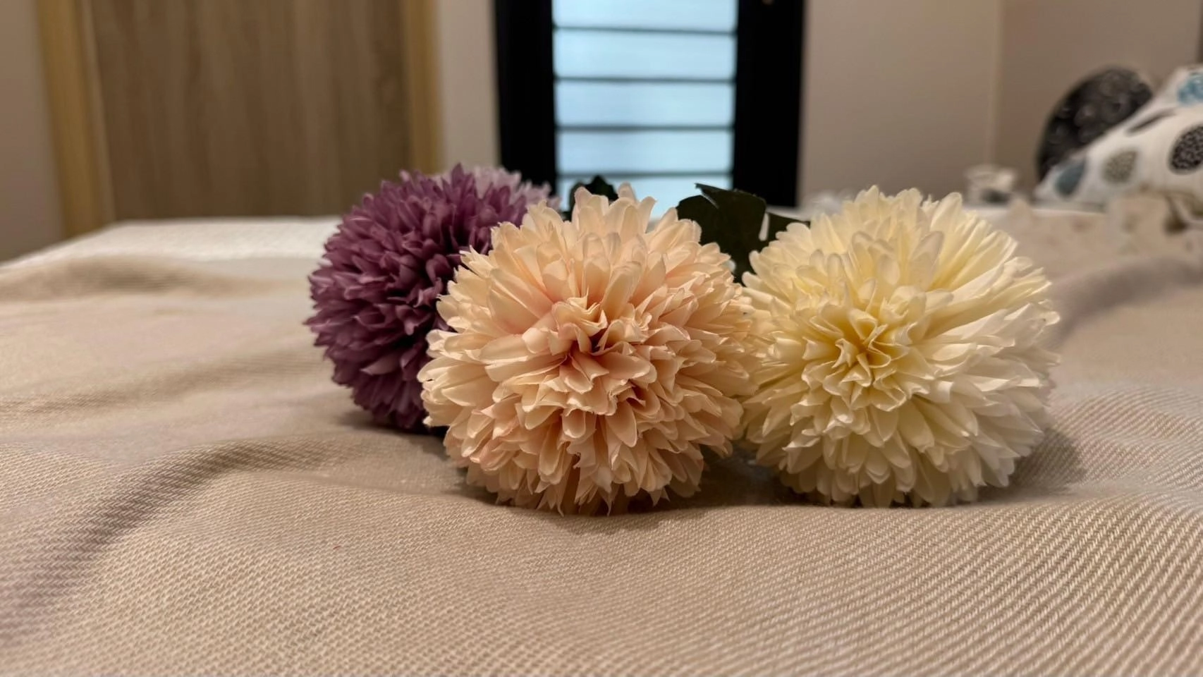 【雙心雲起】桃園復興路透店 14 套